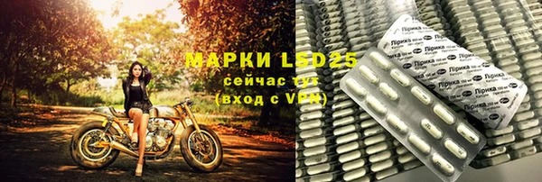 гидра Ачинск