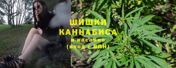 мет Бердск
