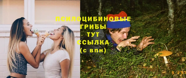 стаф Лихославль
